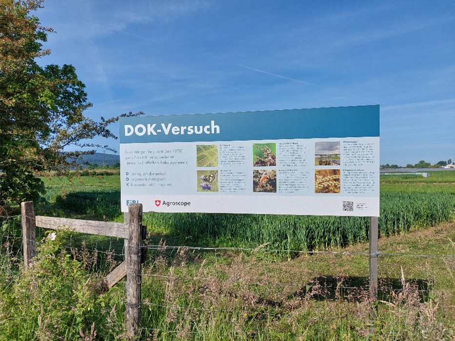 OH-FINE cross visit DOK trials